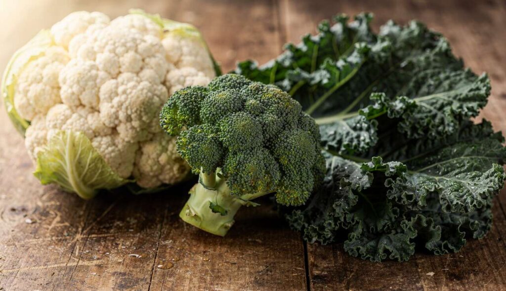 Brokkoli, Blumenkohl, Grünkohl: Warum es eigentlich dieselbe Pflanze ist